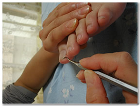 �l�C�����K�̃C���[�W